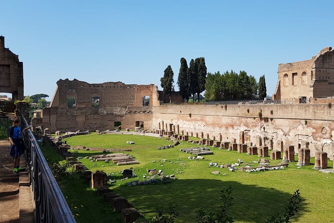 Colosseum Arena Floor Roman Forum and Palatine Hill Live Guide - Price and value: what the $31.46 is really covering