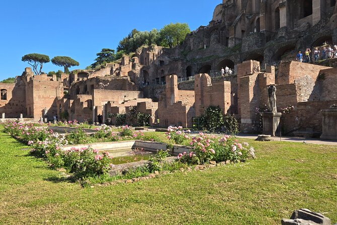 Colosseum Arena Floor, Roman Forum & Palatine Hill Guided Group Tour - Stop 1: the Colosseum arena floor (and that 360° moment)