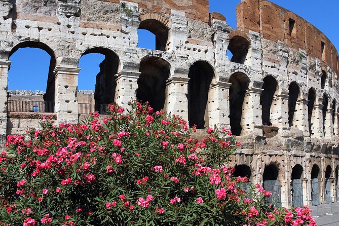 Colosseum Express Tour - Meeting point reality: how not to waste time