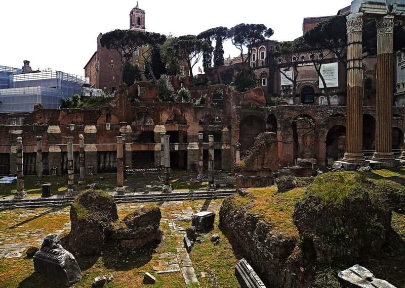 Colosseum, Forum & Palatine Hill Guided Walking tour - Palatine Hill: myth, emperors, and the best Rome zoom-out