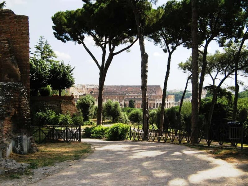 Colosseum, Forum & Palatine Hill Guided Walking tour - Is the price a good deal?