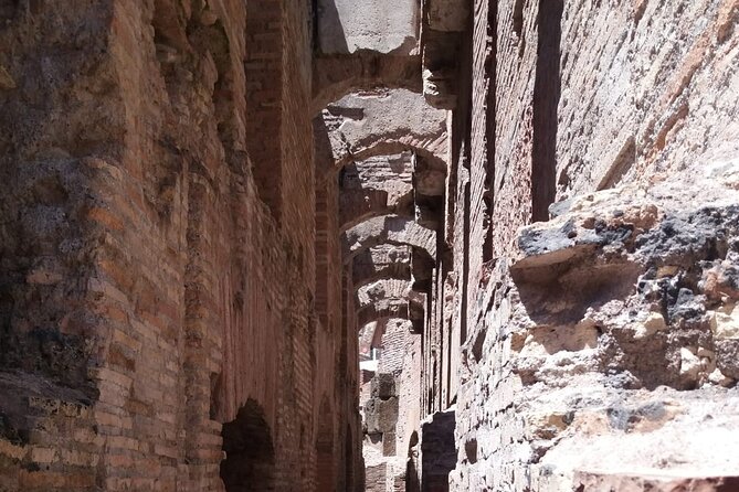 Colosseum Underground Tour With Arena Floor: Vip Experience - The real point of the underground tour