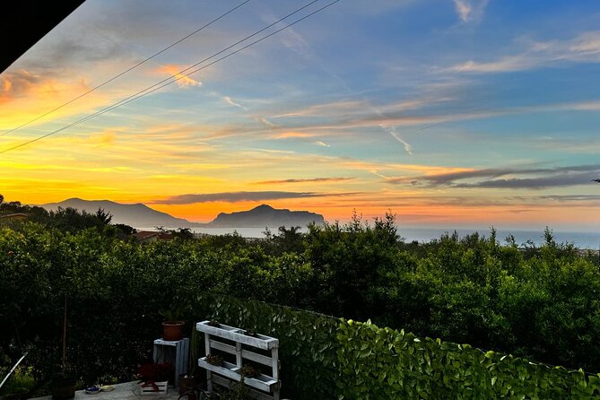 Cooking class in a villa with Palermo view - Eating the Results: What the Final Meal Feels Like