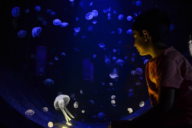 CRETAquarium Entrance Ticket in Crete - Who should book this Cretaquarium entrance ticket?
