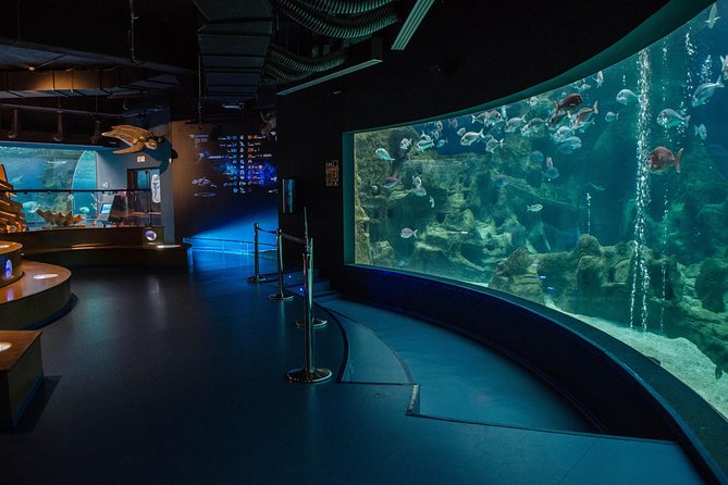 CRETAquarium Entrance Ticket in Crete - Quick decision guide: should you book?