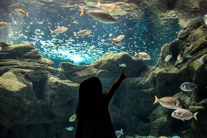 CRETAquarium Entrance Ticket in Crete - Timing your visit: opening hours and how long to plan