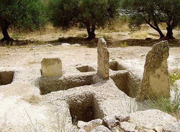 Crete: Olive Oil, Soap, Wine, Raki - Flavorful Culinary Journey - Key things I’d circle before you book