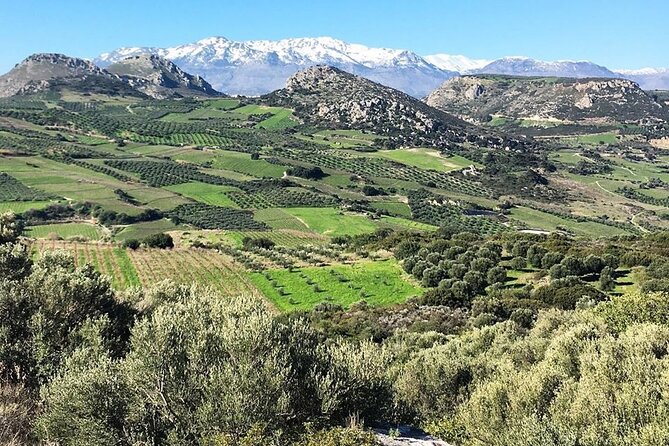 Crete: Olive Oil, Soap, Wine, Raki - Flavorful Culinary Journey - Crete’s inland shortcut: why this flavor tour works