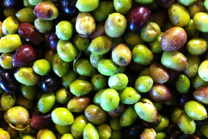 Crete: Olive Oil, Soap, Wine, Raki - Flavorful Culinary Journey - Price and value: is it worth about $111.26?