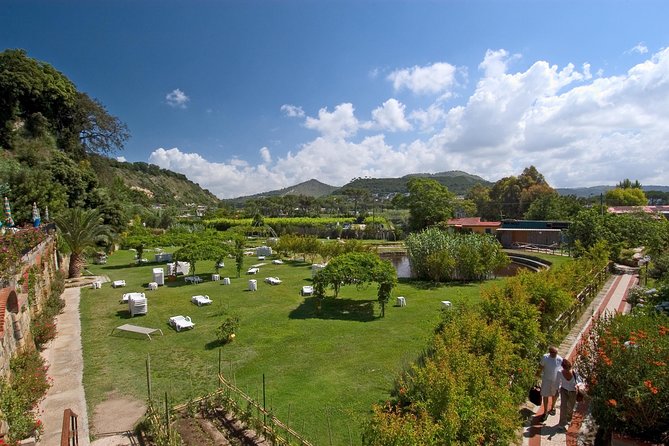Day SPA like an ancient Roman - Outdoor pools, fish nibbling, and mud by the lake