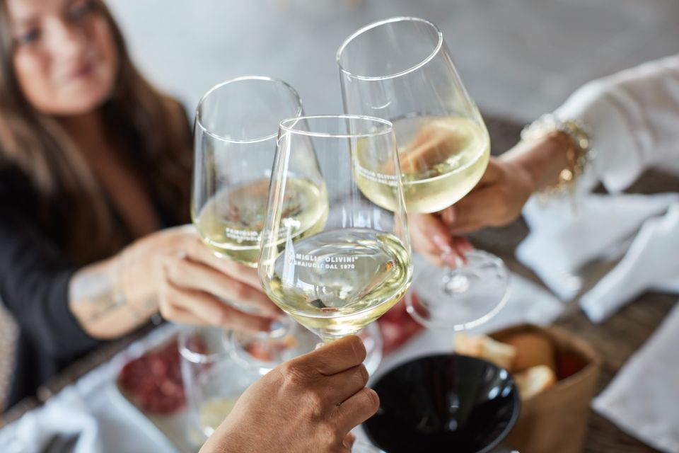Desenzano: Lugana Wine-Tasting and Vineyard Tour - Key takeaways before you go
