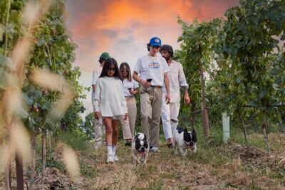 Desenzano: Lugana Wine-Tasting and Vineyard Tour - Vineyard walk with sustainability talk (and what to do if weather changes)
