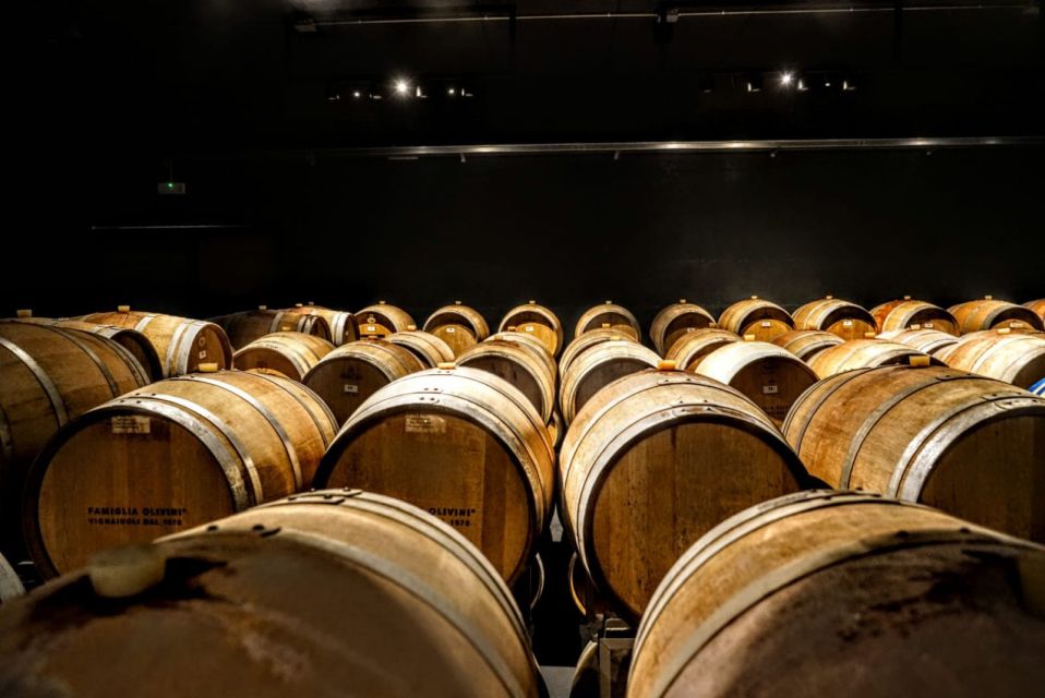 Desenzano: Lugana Wine-Tasting and Vineyard Tour - Price and value for a 2-hour Lake Garda wine experience