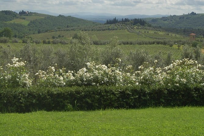 Discover Chianti Through its Wines - Key things I’d circle before you go
