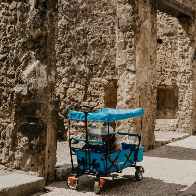 Discover Pompeii: French Walking Tour of the Buried City - Why a French guide is a real advantage here