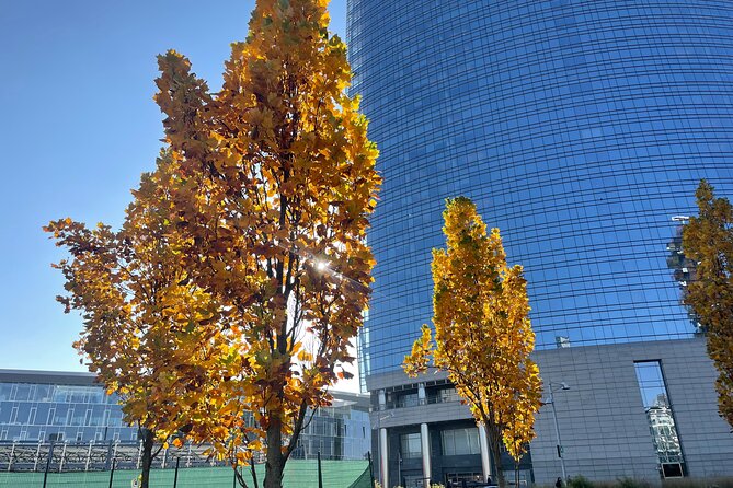 Discover the Milano by Food - The tastings and the aperitivo/dinner ideas you can actually use