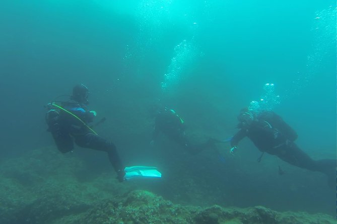 Diving for patented divers - Why the small-group format feels worth it