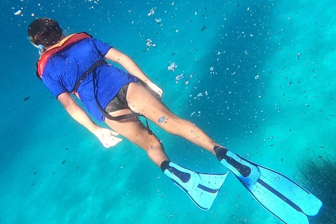 Dolphin Watching and Snorkeling in Figarolo in Sardinia - Snorkeling Gear, Lifejackets, and How to Stay Comfortable