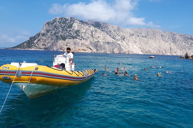 Dolphin Watching and Snorkeling in Figarolo in Sardinia - Guides and Dolphin Education: Names You Might Hear