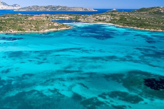 Dolphin Watching Boat Excursion to Figarolo Island from Olbia - From Olbia Marina to open sea: what this boat trip is really like