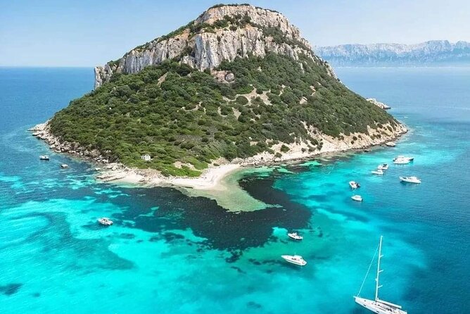 Dolphin Watching Boat Excursion to Figarolo Island from Olbia - What you’ll get on board: new dinghy comfort, drinks, and a calmer pace