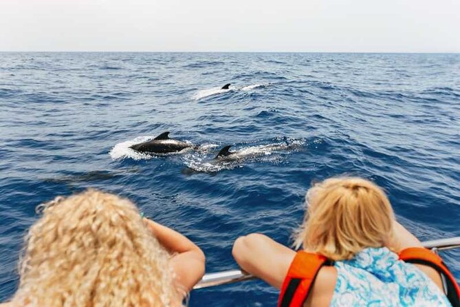 Dolphin Watching Tour with Snorkeling from Olbia - Guides and small-group energy: why the crew matters here