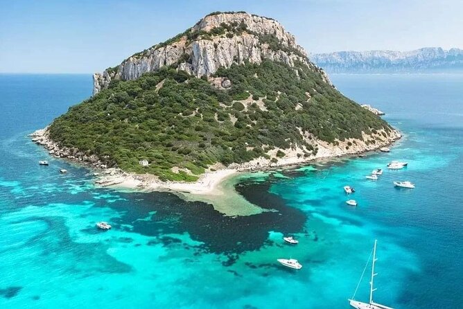 Dolphin Watching Tour with Snorkeling from Olbia - Who this dolphin-and-snorkel tour is best for