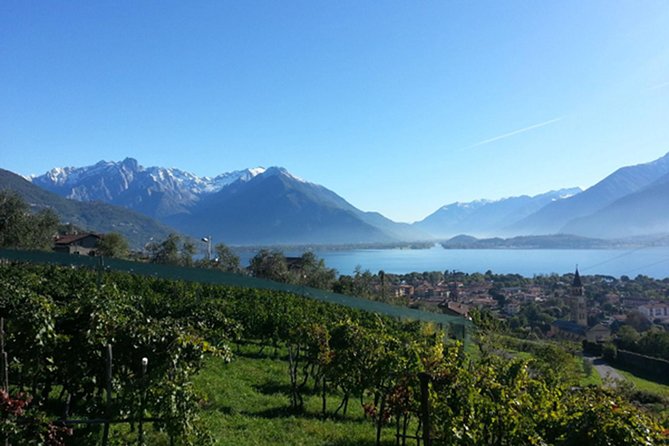 Domaso: Wine Tasting at the Winery on Como Lake - Entering a Family Cellar in Domaso: What the Tour Really Covers