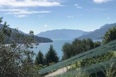 Domaso: Wine Tasting at the Winery on Como Lake - The Food Program: Snacks, Cool Cuts, Cheese, and a Real Vegetarian Option