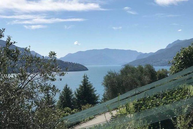 Domaso: Wine Tasting at the Winery on Como Lake - The Food Program: Snacks, Cool Cuts, Cheese, and a Real Vegetarian Option