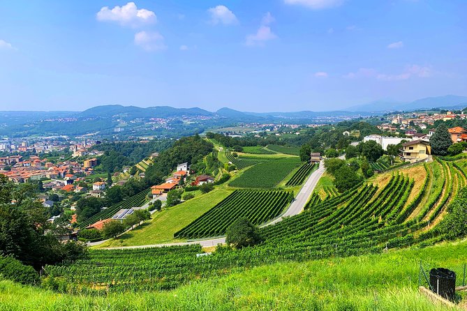 E-Bike Tour Lake Como and Swiss Vineyards - Start at Como’s Waterfront and Glide Toward Villa Olmo