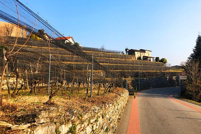 E-Bike Tour Lake Como and Swiss Vineyards - Into Swiss Border Country: Where the Wine Stories Start