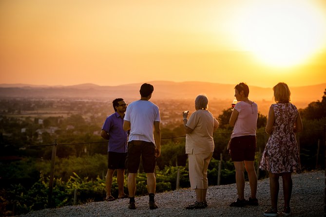 Enjoy and Taste the Flavors of Wine in an Open-air Venue - The guided flight: four wines and real food pairing