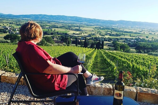 Enjoy and Taste the Flavors of Wine in an Open-air Venue - Umbrian vibes from Assisi to the valley view