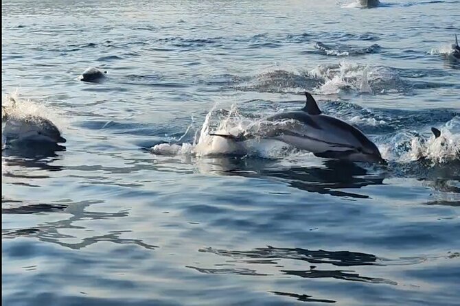 Escursioni in barca Taormina Giardini Naxos Isola bella - Snorkeling time and safety gear: plan to feel confident