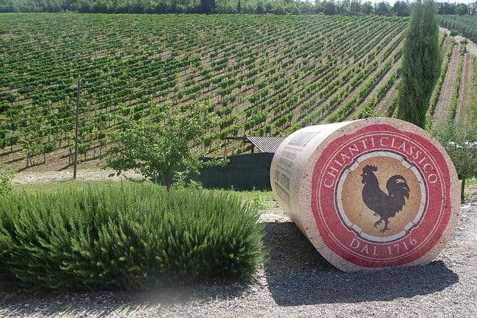 Essence of Chianti Small Group Tour with Lunch and Tastings from Florence - Key things I’d put on your radar