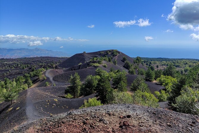 Etna and Alcantara Gorges Excursion - Who should book this Etna and Alcantara day