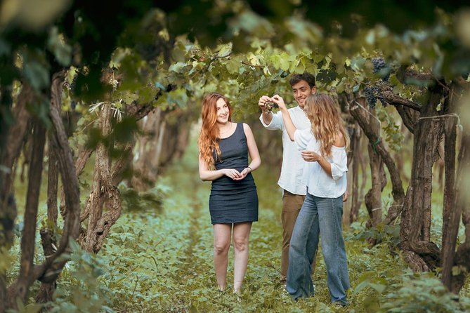 Etna Countryside Food & Wine Lovers Tour (Small Group or Private) - Volcanic Wine From Taormina: Why Etna feels special