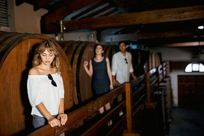 Etna Countryside Food & Wine Lovers Tour (Small Group or Private) - Price and Logistics: Where the cost feels fair and where it might not