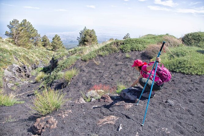 Etna Family Tour Excursion for families with children on Etna - Meeting point, route flow, and the one logistics you can’t ignore