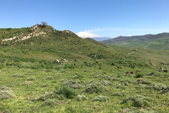 Etna Morning Jeep Tour - Oro d’Etna and the farm stop: food that’s linked to the slopes