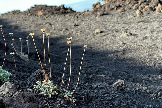 Etna Morning or Sunset - Trek & Lava Tunnel with Gear - Etna Morning or Sunset: when you’ll be happiest choosing this