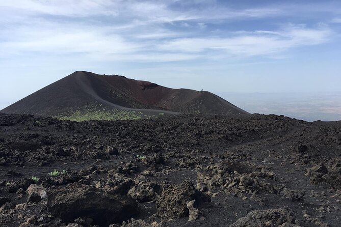 Etna Private Tour and Excursion - The farm tasting: Etna honey and local wines