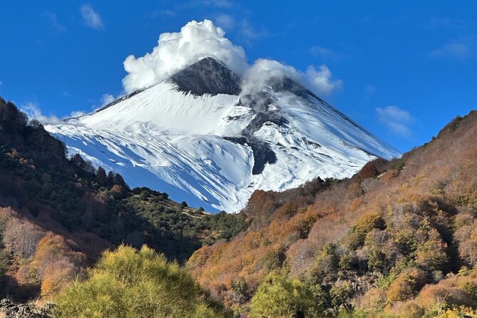 Etna Private Tour and Excursion - Who should book this Etna private tour?