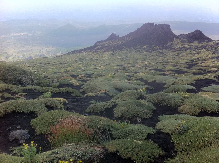 Etna: Sunset Tour on the Volcano - Caves, Craters, and Lava Flows: Learning to Read Etna