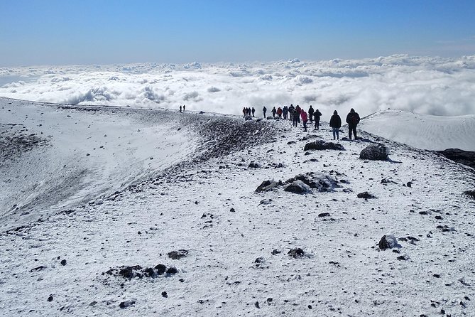 Etna Tour - HalfDay Small Group & licensed Tour Guide - The traditional Sicilian farm tasting: why it’s the perfect landing step