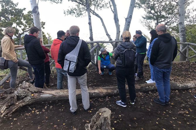 Etna Tour - HalfDay Small Group & licensed Tour Guide - Who this Etna tour is best for
