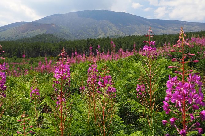 Etna Tour in 4x4 - What You Need to Bring (and Why It’s Not Optional Here)