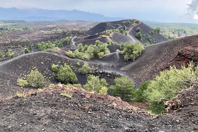 Etna, Wine and Alcantara Tour - From Taormina - Key highlights at a glance