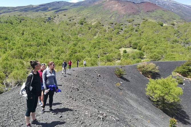 Etna, Wine and Alcantara Tour - From Taormina - A small-group Etna day that actually feels organized